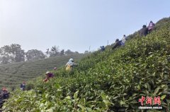 （乡村行·看振兴）江西都昌逾五